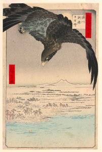 Ebene bei Suzaki Fukagawa (Fukagaw Susaki, Juman-tsubo) aus der Serie Einhundert Ansichten von Edo von Ando Hiroshige