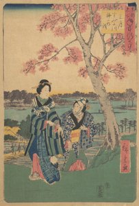 Pflaumenblütenbesichtigung im dritten Monat am Sumida-Fluss aus der Serie Jahresereignisse von Ando Hiroshige