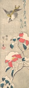 Spatz und schneebedeckte Kamelie (Tsubaki) von Ando Hiroshige