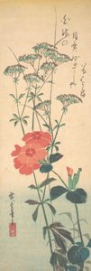 Prächtige Nelken und chinesische Agrimonie, ca. 1836 von Ando Hiroshige