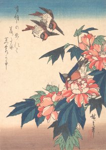 Schwalben und Eisvogel mit Rosenmalven, ca. 1838
