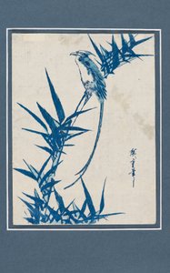 Ukiyo-e-Druck - Vogel auf einem Ast in Blau (ca. 1820-1858) von Ando Hiroshige