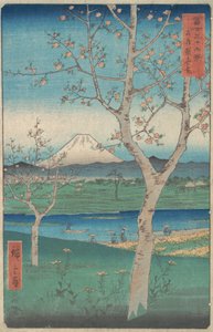 Blick auf den Berg Fuji von Koshigaya, Provinz Musashi, 4. Monat, Pferdejahr 1858