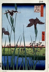 Hundert berühmte Ansichten von Edo: Schwertlilien in Horikiri von Ando or Utagawa Hiroshige