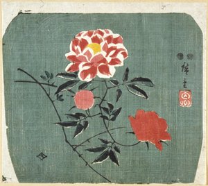 Fächerdruck: Rose von Ando or Utagawa Hiroshige