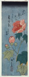 Blühende Mohnblumen, Tanzaku von Ando or Utagawa Hiroshige