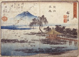 Gänse landen in Katada von Ando or Utagawa Hiroshige
