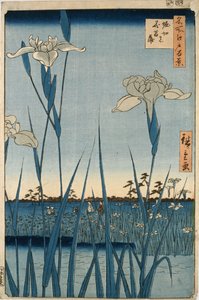 Horikiri-Irisgarten von Ando or Utagawa Hiroshige