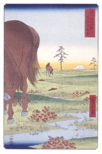 Kogane-Ebene in der Provinz Shimōsa von Ando or Utagawa Hiroshige
