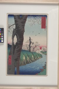 Koganei in der Provinz Musashi von Ando or Utagawa Hiroshige