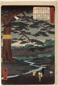 Miyuki-Kiefer von Ando or Utagawa Hiroshige