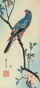 Papagei auf einem Ast von Ando or Utagawa Hiroshige