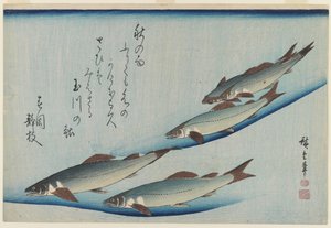 Schule von fünf Meerforellen, Edo-Zeit (Farbholzschnitt auf Papier) von Ando or Utagawa Hiroshige