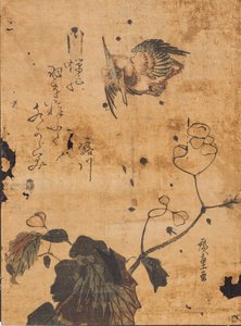 Studie von Vogel und Pflanze von Ando or Utagawa Hiroshige