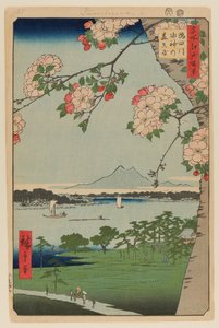 Suijin-Schrein und Massaki am Sumida-Fluss