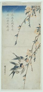 Schwalben und Pfirsichblüten im Mondlicht von Ando or Utagawa Hiroshige