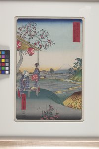 Teehaus mit Blick auf den Berg Fuji in Zōshigaya (Zōshigaya Fujimi Chaya) von Ando or Utagawa Hiroshige