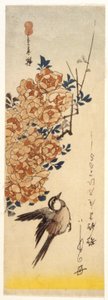 Bachstelze und Rosen von Ando or Utagawa Hiroshige