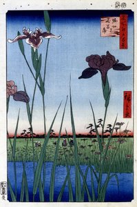 Wasseriris - Japanischer Druck von Utagawa Hiroshige. Hundert Ansichten von Edo von Ando or Utagawa Hiroshige