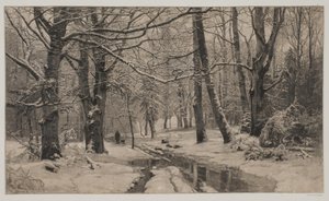 Wintertag im Wald von André Bork