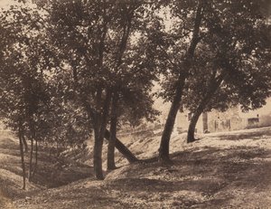 Bäume, ca. 1855
