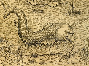 Seemonster, Gravur aus der Universal Cosmology, von Andre Thevet, Paris von Andre Thevet