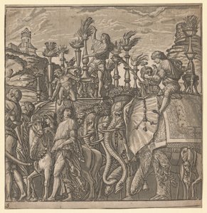 Der Triumph von Julius Caesar: Elefanten tragen Fackeln von Andrea Andreani