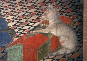 Atri, Dom, Katze von Andrea Delitio