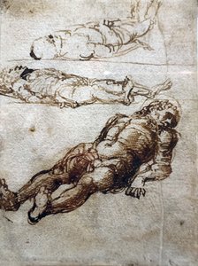 Drei Studien für den toten Christus von Andrea Mantegna
