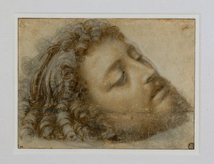 Kopf des Heiligen Johannes des Täufers von Andrea Solario