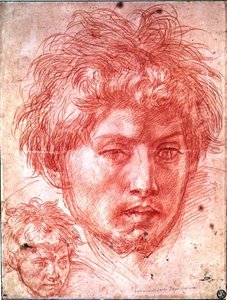 Kopf eines Mannes von Andrea del Sarto