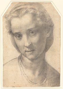 Kopf einer Frau