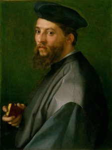 Porträt eines Mannes von Andrea del Sarto