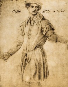 Porträt eines jungen Florentiners von Andrea del Sarto