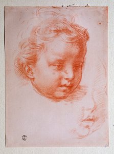 Kopf eines Putto (Zeichnung)