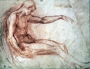 Sitzender männlicher Akt von Andrea del Sarto