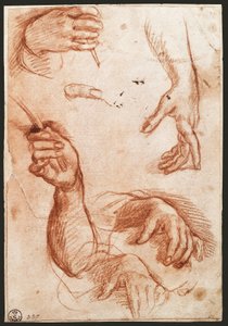 Studie von Händen von Andrea del Sarto