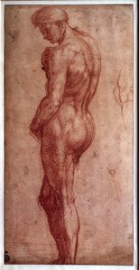 Studie eines männlichen Aktes Zeichnung a la sanguine von Andrea d