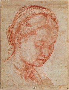 Studie des Kopfes der Heiligen Katharina für die Kreuzabnahme mit der Jungfrau Maria und Heiligen im Pitti-Palast, 1523-24 (Detail)