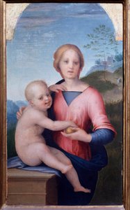 Jungfrau mit Kind von Andrea del Sarto