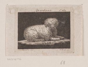 Giordano, ein liegender Hund von Andreas Flint