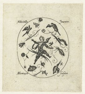 Oval mit Putto umgeben von Vögeln, Schmetterlingen und Insekten von Andreas Gentzsch
