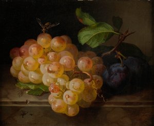 Früchtestillleben mit Biene