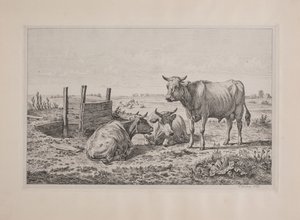 Ein Stier und zwei Kühe von Andreas Peter Madsen