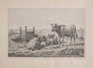 Ein Stier und zwei Kühe von Andreas Peter Madsen