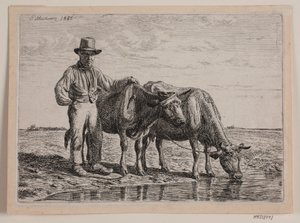 Hirte mit Kühen