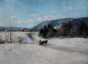 Winterlandschaft am Skaugum-Hügel