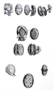 Die Tafeln aus dem fünften Buch der De Humani Corporis Fabrica von Andreas Vesalius