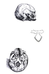 Die Tafeln aus dem ersten Buch der De Humani Corporis Fabrica von Andreas Vesalius