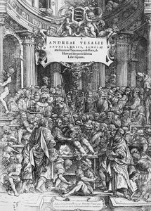 Titelseite von De humani corporis fabrica (Lateinisch für Über den Aufbau des menschlichen Körpers), wo Andreas Vesalius beim Sezieren eines Kadavers dargestellt ist